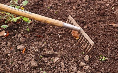 Apprendre à utiliser une motobineuse pour le sol du jardin