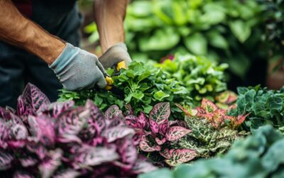 Comment choisir et entretenir vos plantes vivaces pour un jardin épanoui